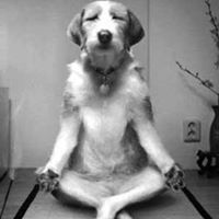 Andre Scaranto Garim