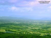 محمد القضقاض