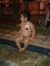 Elvina ...