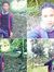 Muhamma...