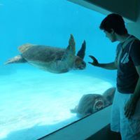 Matthew Avanti Lopez