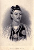Karim Nanvour