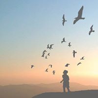 Μάριος Χαραλάμπους