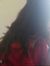 Sonia H...