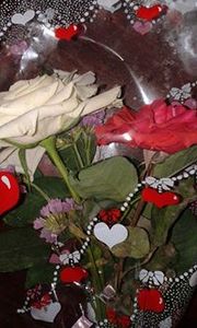Asmaa Ahmed
