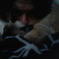 Ivan Herrera Bacquerie