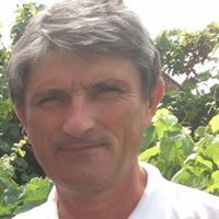 Dimitrie Peici