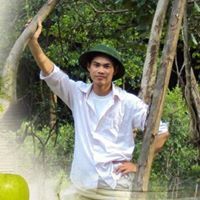 Hiếu Hồ