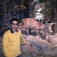 behnam behroozpour baghmisheh