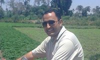 Mohamed Hamad