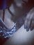 Carolin...