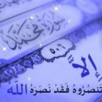 محمود الزيادي