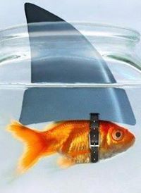 Наталия Енчева