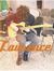 Lorenzo...