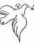Sabir S...