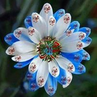 امير الاحزان