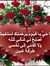 Asmaa G...