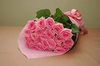 نعمة الإسلام