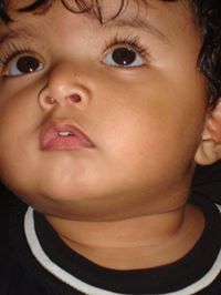 Javed Shaikh