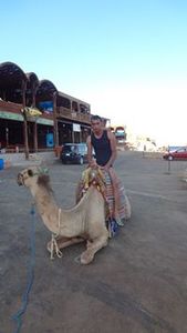 Ashraf Atef