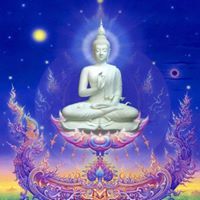 محمد ابو عره