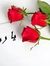 Rowayda...