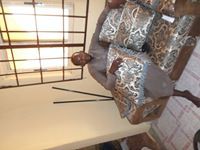 Adamu Jega