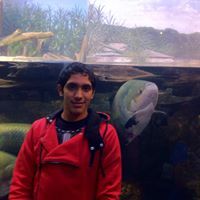 Erik Eduardo
