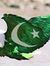 Hasnain...