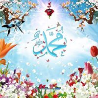 Moustafa Abdelfttah
