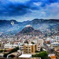 مصطفى الحمادى