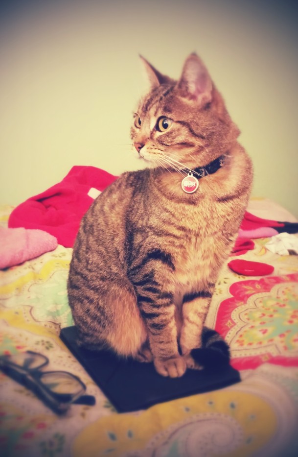 Goodreads profile picture for @suey