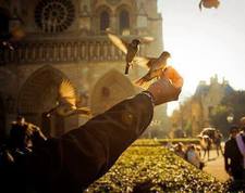 ايمان الحديدى