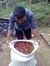 Munawar...