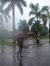 Supriya...