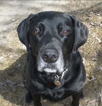 Internationaledtech Guy