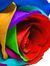 Lalit M...