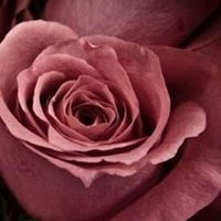 فاطمة ال فريج