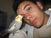 Κώστας Νάξης