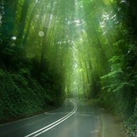 Drkala Krishnamurthy