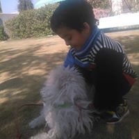 Saima Afridi