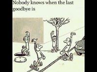 ابو عبدالله