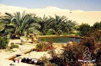 أحمد باخالد