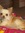 Kay (kkfar) | 502 comments