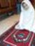 Toufik Hm