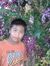 Nipat Boom