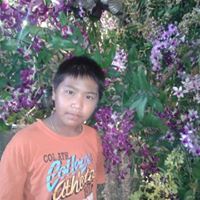 Nipat Boom