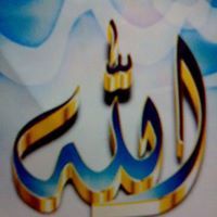 زهرة المدائن