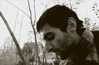 هامون نیکویی