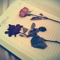 مصطفى اسماعيل